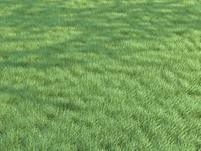 4 grass for landscape with corona scatter 3D model