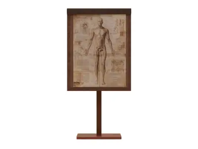 Low Poly Ancient Anatomy Study Board Malbert Low-poly 3D model