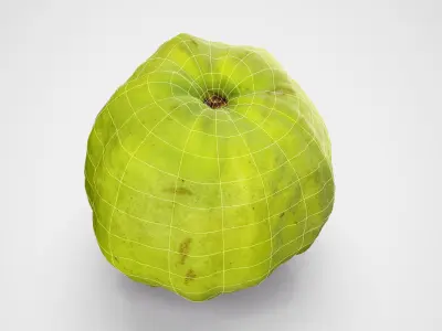 Guava - Photorealistic Scan Low-poly 3D model