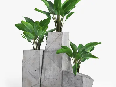 Concrete Plant Banana Palm 3D model