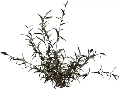 Realistic Dry Shrub Clump  Low-poly 3D model