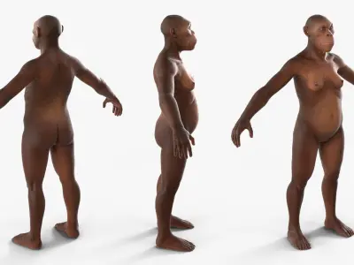  Scientific Replica of Australopithecus Female 