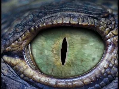 Creature eye Textures vol 02 Texture