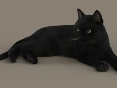  Cat (2) (Black) (RIG) (FUR) 