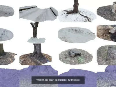 Winter 3D scan collection 3D Model Pack