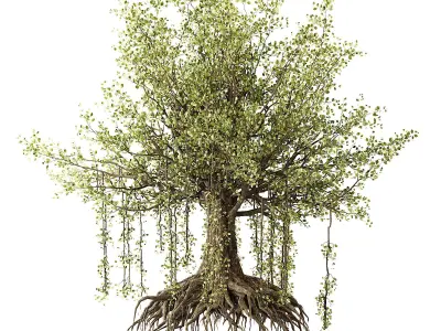 Banian tree 3D model