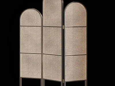 cane partition 3D model