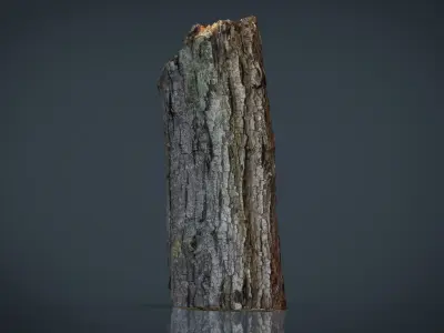 Wood Log 2 Low-poly 3D model