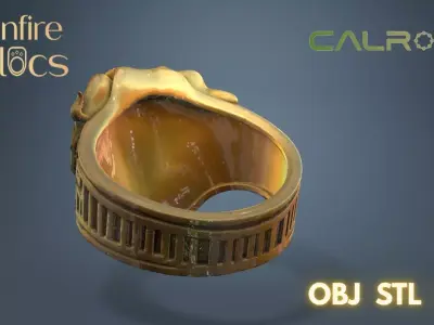 Calrith Ring  3D print model