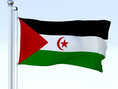 Animated Western Sahara Flag Low-poly 3D model