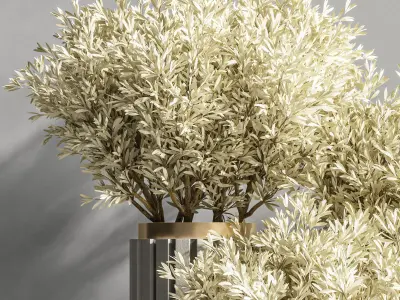 Indoor Plant Set 83 3D model