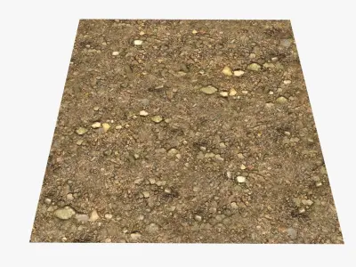 River Bottom Texture Texture