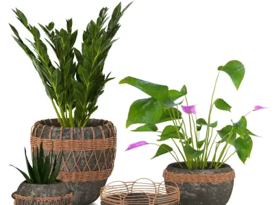 plant colection 01 3D model