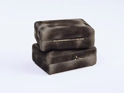 Carbon Shagreen Box 3D model