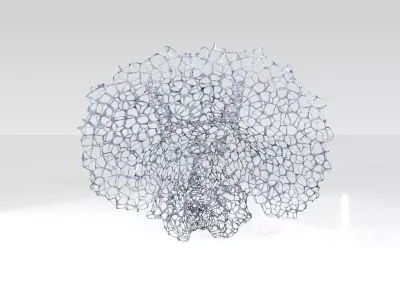 Triceratops Skull Voronoi 3D model