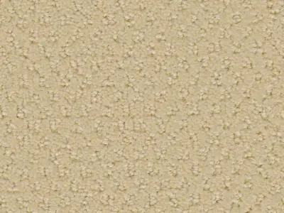Seamless Beige Carpet Texture  Texture