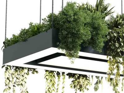 Rectangle pot light pendant - plant light hanging - indoor plant 3D model