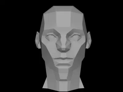 Planes of the Head - Male Asaro model 3D model