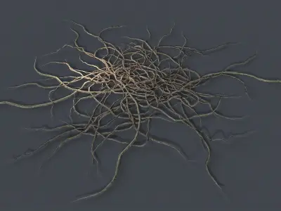 Wood Roots Low-poly 3D model