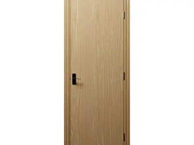 Flush Door Set Low-poly 3D model
