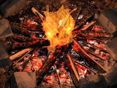 Bonfire animated 3D model