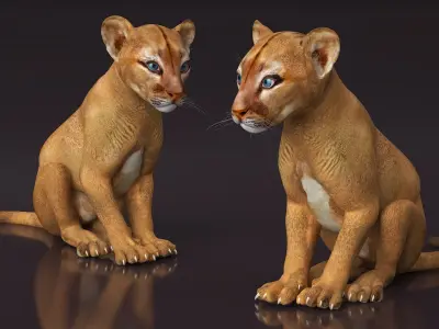  Puma Cub Rigged for Cinema 4D 