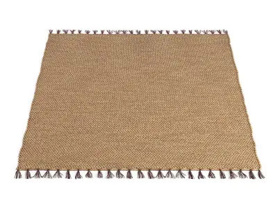 Willow Water Hyacinth Rug 180x120cm RendezVousDeco 3D model