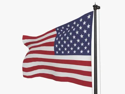 Flag Pole Low-poly 3D model