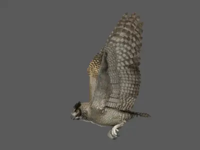  Great Horned Owl Rigged 