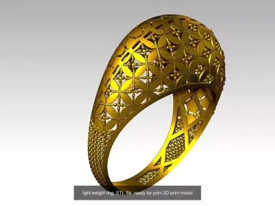 10 light weight rings  STL files  ready for print 3D print model 3D Model Pack