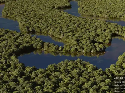 Forest mangrove in brazil - Corona Render 3D model