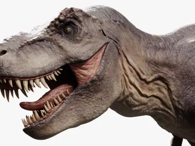  Tyrannosaurus Rex 
