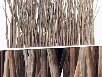 Branch screen sang n1 3D model