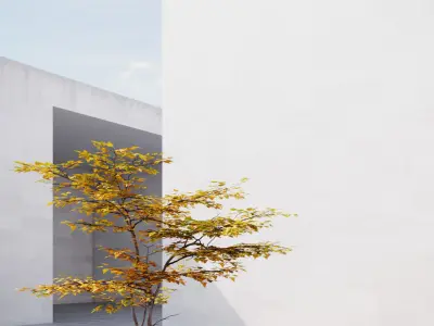 Small Autumn tree vpt028 3D model