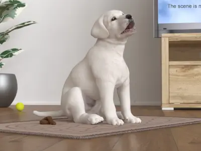  Labrador Retriever Puppy Pooped on the Mat 