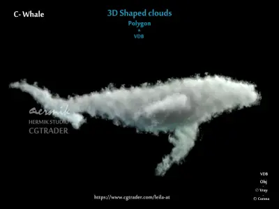 3D Shaped Clouds - Polygon and VDB   3D model