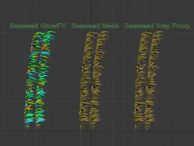  Seaweed Kelp Animated 