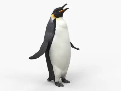  Large Penguin Bird Black White Rigged for Cinema 4D 