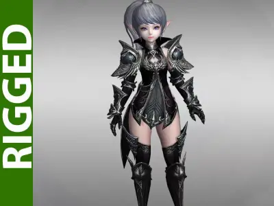 Raven Kingdom 3D Rigged Model 3D model