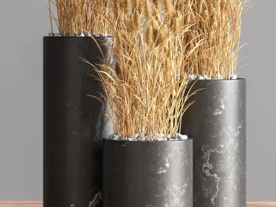 Indoor Plant Set 73 3D model