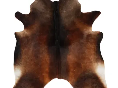 Chocolate Cowhide Rug by Hudson Hides 3D model