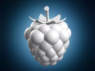 Raspberry Fruit Model 3D print model