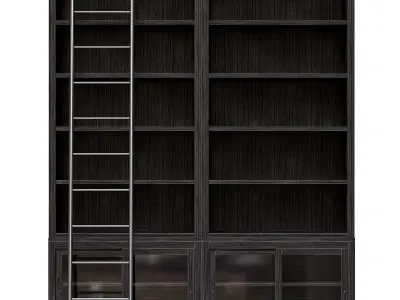 Admont Double Bookcase With Ladder 3D model