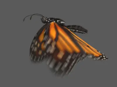  Monarch Butterfly (Animated) 