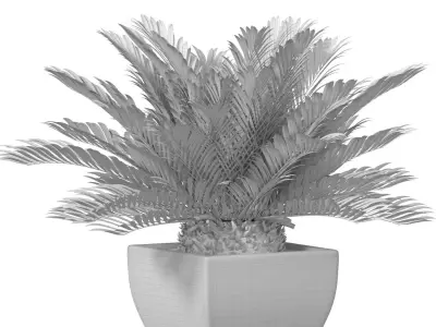 Decorative Evergreen Cycas Palm Tree in lower pot Urn ArtDeco 3D model