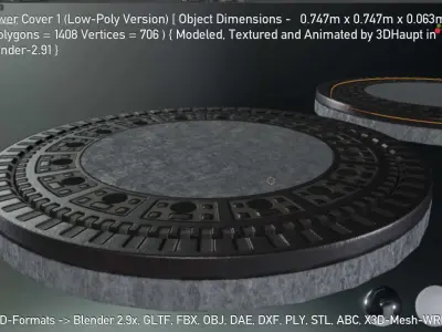 Sewer Cover 1 Low-Poly Version Low-poly 3D model