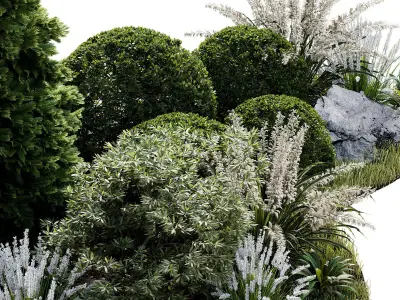 Outdoor Plant 33 3D model