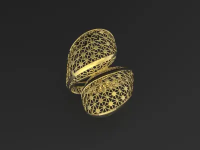 20 rings bueatiful light weight  3D print model
