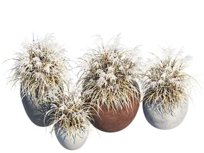 Ronan Ficonstone Indoor 3D model