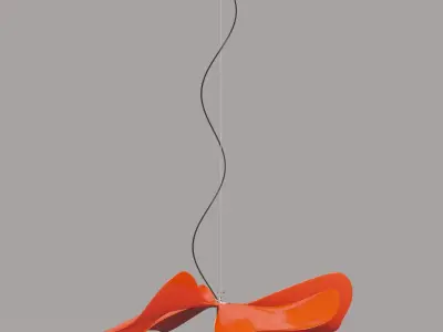 Papavero Raggiante 3D model